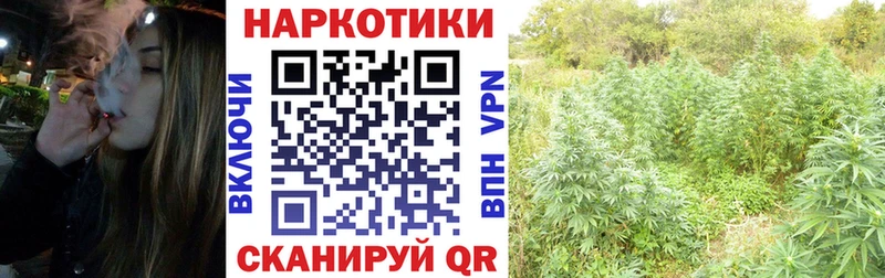 Виды наркоты Мытищи Гашиш  Марихуана  АМФ  МЕФ  Alpha-PVP 