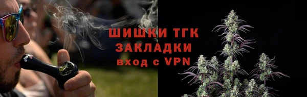 ПСИЛОЦИБИНОВЫЕ ГРИБЫ Алексин